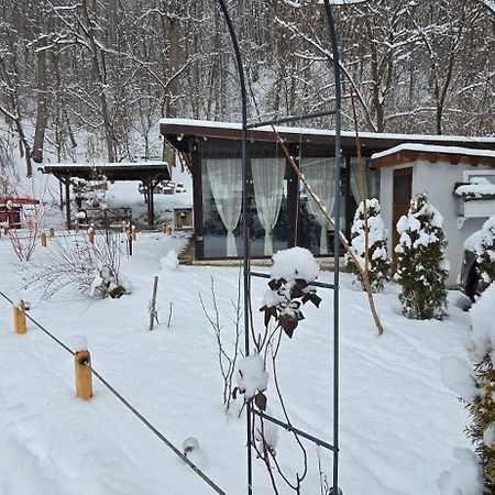 Pensiunea Lui Calin Ocnele Mari Exterior foto