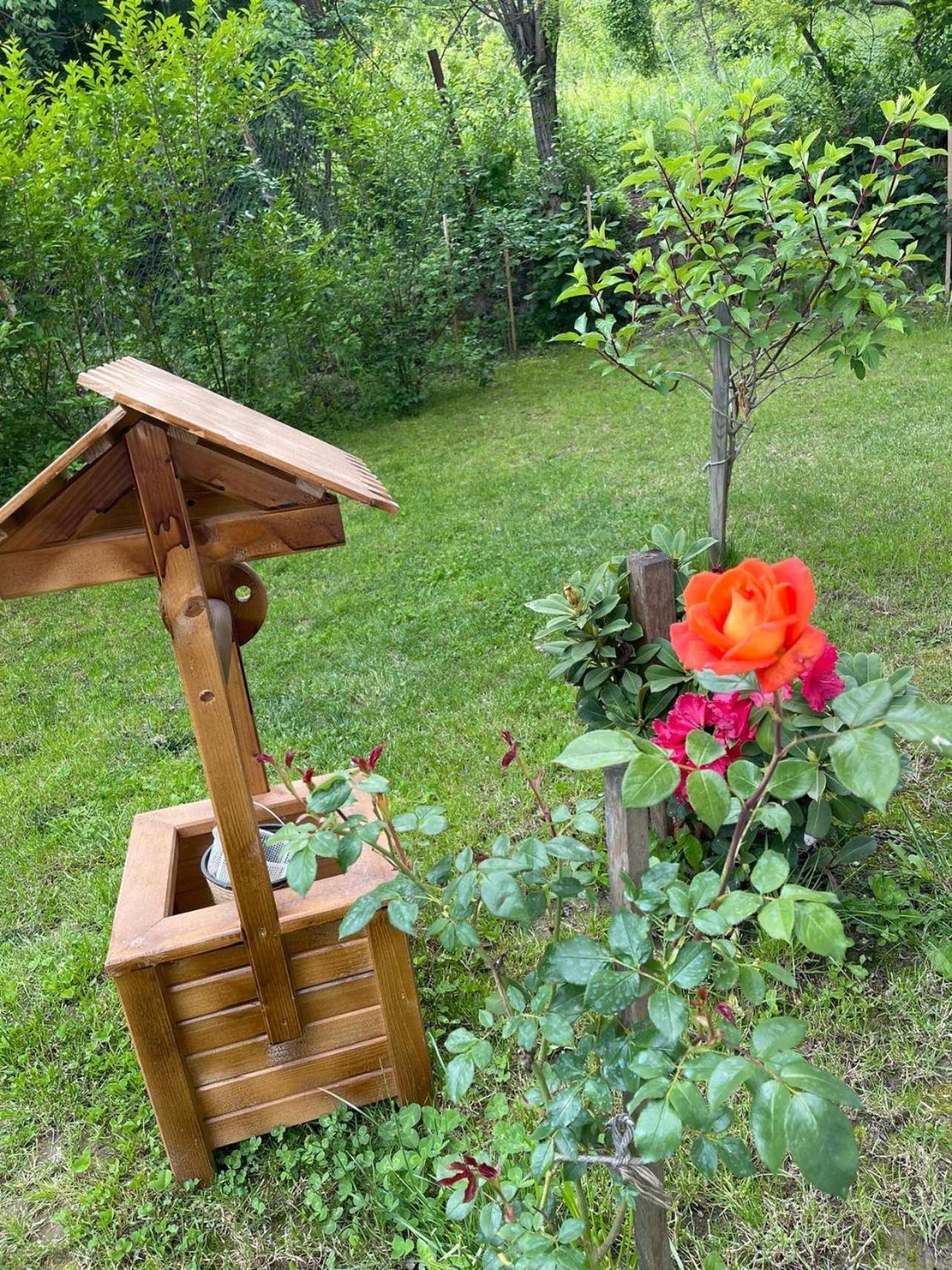 Pensiunea Lui Calin Ocnele Mari Exterior foto